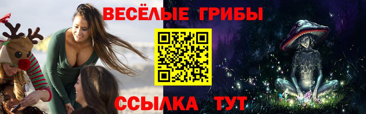 Видное  Псилоцибиновые грибы мухоморы  купить   Галлюциногенные грибы Psilocybine cubensis  Вход с VPN 